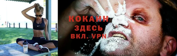 хмурый Кодинск