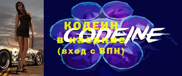 сатива Козельск