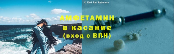 сатива Козельск