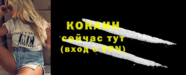 хмурый Кодинск