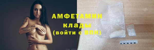 сатива Козельск