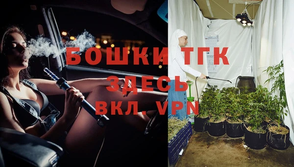 прущие грибы Козловка