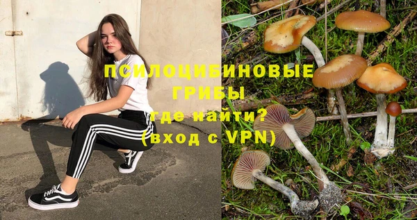 прущие грибы Козловка