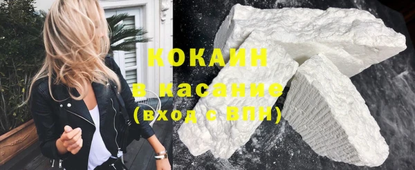 прущие грибы Козловка