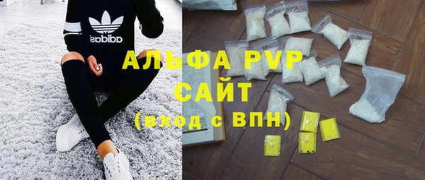 сатива Козельск