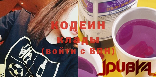 сатива Козельск