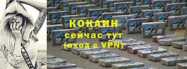 сатива Козельск