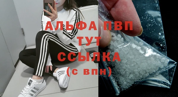 хмурый Кодинск