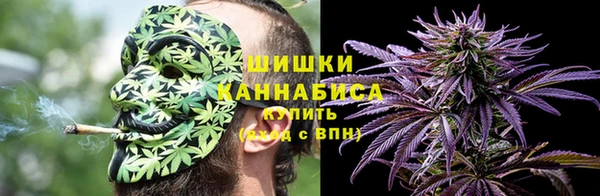 прущие грибы Козловка