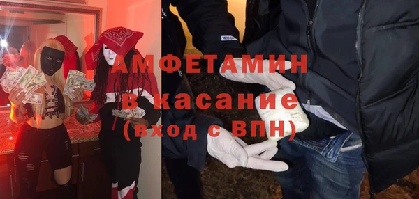 сатива Козельск